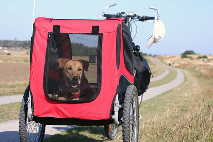 Hundeanhänger für Fahrrad & PKW günstig online kaufen